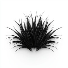 Obraz premium of Short spiky black hair strands with a gelled look, centered on a clean white background