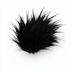 Obraz premium of Short spiky black hair strands with a gelled look, centered on a clean white background