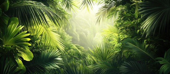 Lush green tropical foliage with vibrant palm leaves illuminated by soft sunlight creating a serene and inviting nature background vibrant details