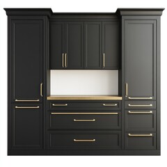 Elegant Modern Kitchen Cabinetry with Black Finish and Gold Hardware