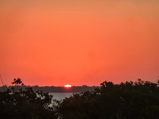Vibrant orange sunset over Lake Cooroibah in Cooloola, Queensland, Australia. Silhouetted native trees and mangroves in the foreground. Dramatic contrast against fiery sky. Great Sandy National Park