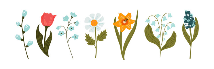 Collection of colorful spring flowers. Set of vector flowers colors on a white background. Isolated