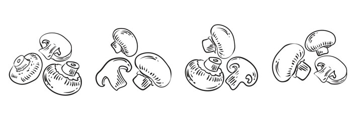 Illustrations of champignons mushrooms in different angles drawn by hand. Slices and whole mushrooms. Set of Vector sketches isolated on white background