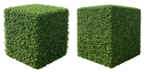 cube shaped hedge, perfect for landscaping and garden design, adds touch of greenery and structure to outdoor spaces