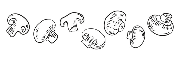 Illustrations of champignons mushrooms in different angles drawn by hand. Slices and whole mushrooms. Set of Vector sketches isolated on white background