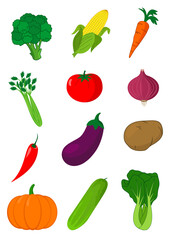vegetables vector