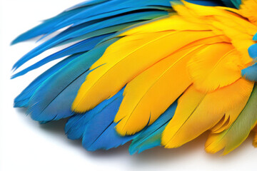 Obraz premium Macaw with bright, colorful feathers on a white background, perfect for tropical themes