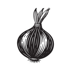 onion isolated on white