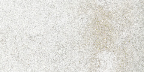 Abstract dust grunge particle and dust grain texture concrete wall grunge on white background Vector.
