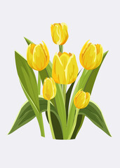 Bouquet of yellow tulips with leaves isolated. Vector illustration. Spring and natural design. Ideal for print, postcard, social media, promotion.