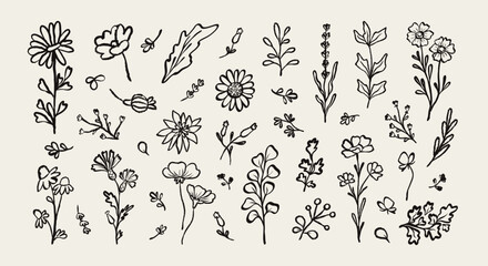 Collection abstract  flowers hand drawn brush ink stroke. Floral plants elements drawing charcoal, pencil, chalk style. Sketch hand drawn silhouette floral plant, leaf. Trendy vector illustration.