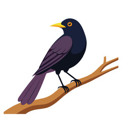Vector silhouette bird on white background-15