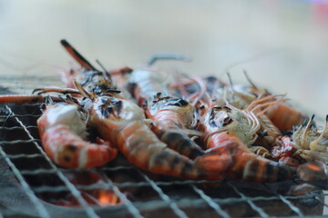  Raw Shrimp on Grill with Charcoal Background