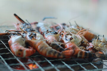  Raw Shrimp on Grill with Charcoal Background