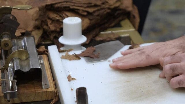 close up of man hand making cigar