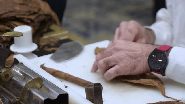 close up of man hand making cigar