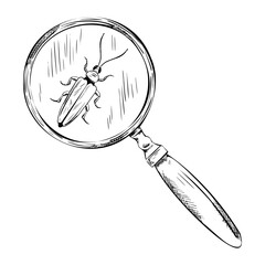 Vector line illustration of magnifying glass with beetle. Hand Engraving drawing of magnifier lens find insect. Monochrome Outline graphics vintage loupe. Entomology icon