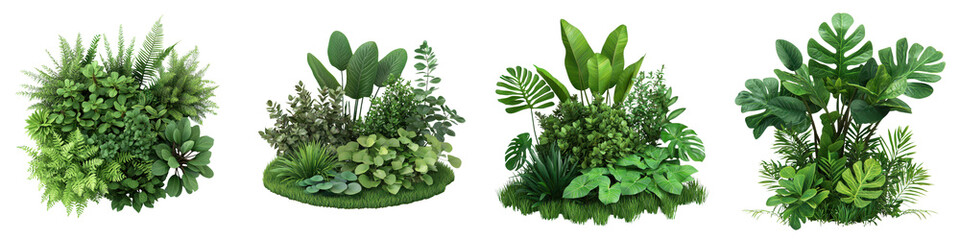 Fototapeta premium Lush green leaves and foliage in natural landscape arrangement Diverse tropical or temperate plants botanical garden indoor or outdoor botanical display