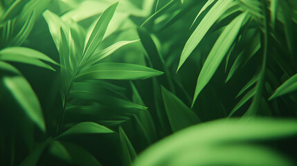 Fototapeta premium 3D Illustration Green Leaves Nature Background Jungle Plants Foliage Tropical Forest