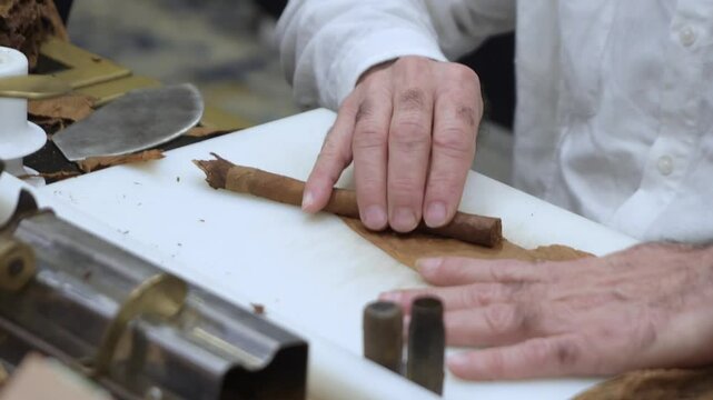 close up of man hand making cigar