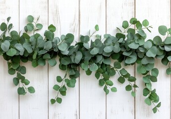 A long green garland of leaves hangs on a white wall
