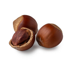 A collection of hazelnuts lies on a pristine white background, showcasing their smooth shells along with one nut partially removed to reveal its creamy interior. A feast for the senses awaits.