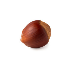 A single hazelnut sits on a pristine white background, highlighting its smooth, warm brown shell. The simplicity of the composition emphasizes the natural beauty and texture of the nut.