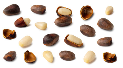 Discovering the beauty of pine nuts amid their natural shells in a vibrant display