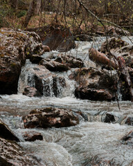waterfall in the forest
