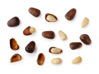 An assortment of pine nuts and their shells is spread across a white surface, showcasing the rich textures and colors. The warm browns contrast beautifully with the creamy whites of the nuts.
