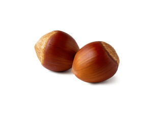 Two glossy chestnuts rest side by side on a stark white surface, showcasing their deep brown hue and velvety tops. The simplicity highlights their natural beauty and rich textures.