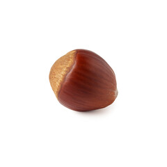 A single hazelnut sits on a pristine white background, highlighting its smooth, warm brown shell. The simplicity of the composition emphasizes the natural beauty and texture of the nut.