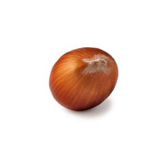 A single hazelnut sits on a pristine white background, highlighting its smooth, warm brown shell. The simplicity of the composition emphasizes the natural beauty and texture of the nut.