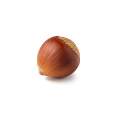 A single hazelnut sits on a pristine white background, highlighting its smooth, warm brown shell. The simplicity of the composition emphasizes the natural beauty and texture of the nut.