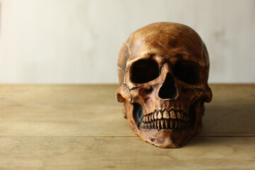 Human skull on wooden table. Halloween concept. Selective focus.