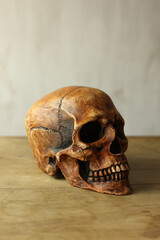 Human skull on wooden table. Halloween concept. Selective focus.	