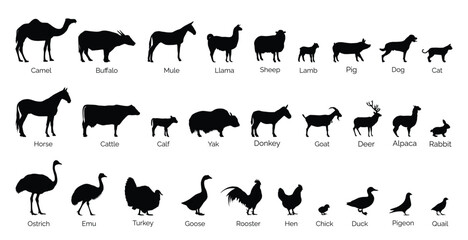 group of farm animal silhouette vector isolated