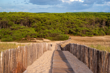 Słoneczne wakacje w Mimizan-Plage, Aquitaine (France)