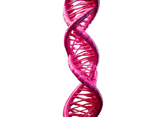 illustration of a pink DNA helix, showcasing the iconic double-helix structure isolated on transparent or white background