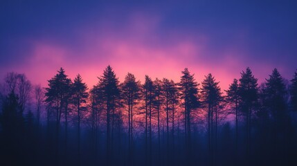 Serene sunset over pine trees tranquil forest landscape nature photography evening mood