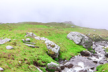 Misty mountain landscape with lush green grass, scattered rocks, and flowing stream. A serene and tranquil scene evoking freshness and nature purity. Perfect for travel, adventure or relaxation themes