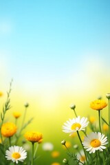 Cheerful Wildflowers and Buttercups Blooming in a Country Field for National Flower Day