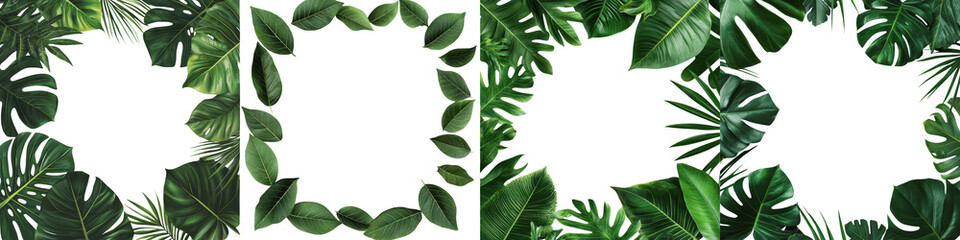 Lush and verdant tropical leaves forming a natural frame or border around a white background creating a scenic and serene botanical design