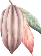 Naklejka premium Hand drawn composition with watercolor cocoa beans and leaf.