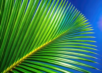 Obraz premium Close-up macro reveals a blue sky backdrop to a vibrant palm leaf's detailed texture.