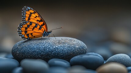 A vibrant orange butterfly perched gracefully on a smooth stone amidst a serene backdrop