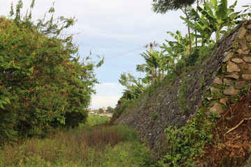 mountain and cloud views