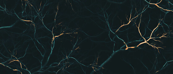 Fractal overlay texture featuring intricate branching patterns on a dark background