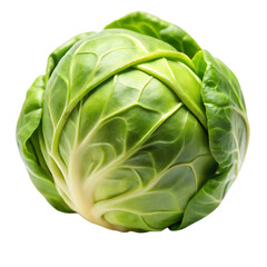 Fototapeta premium Brussels sprout vegetable image with transparent background