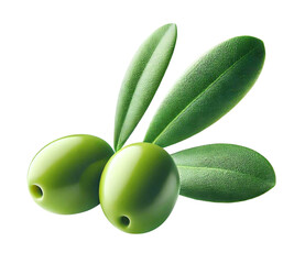 Isolated two olives. Green olives fruits with leaves isolated on white background with clipping mask.